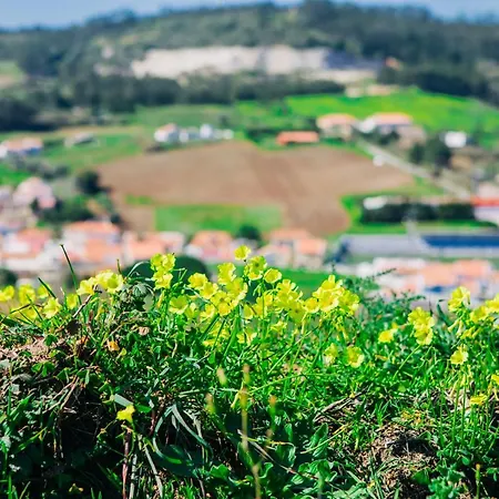 Διαμέρισμα Casa Martins Country No5 *