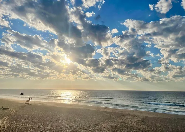 Apartment Casa Martins Country No5 Freiria