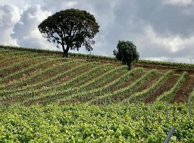 Casa Martins Country No5 Apartment *